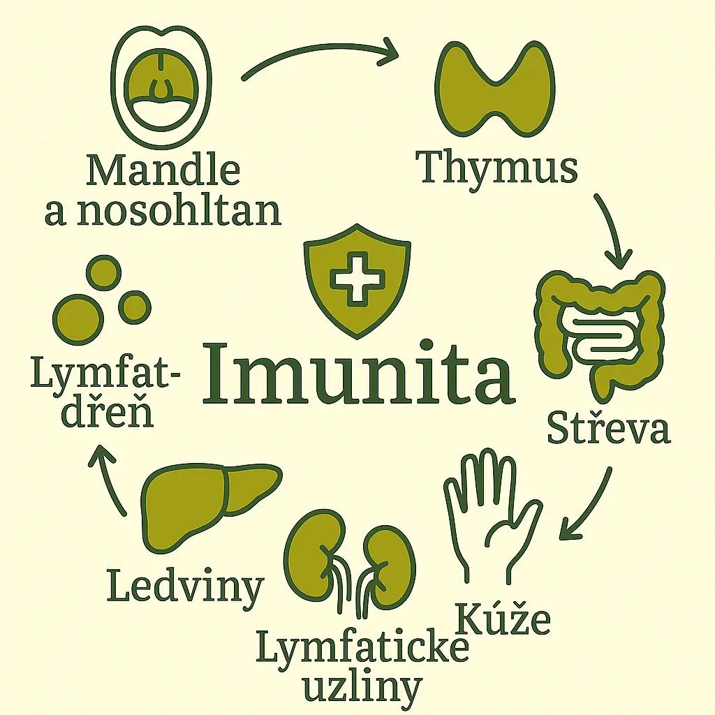 2,Imunita...